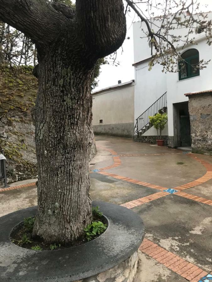 Maison Rosa Positano Kültér fotó